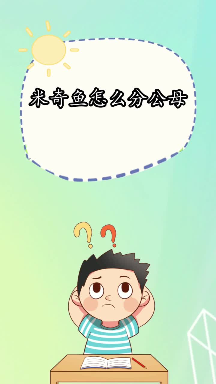 米奇鱼怎么分公母,你知道了吗