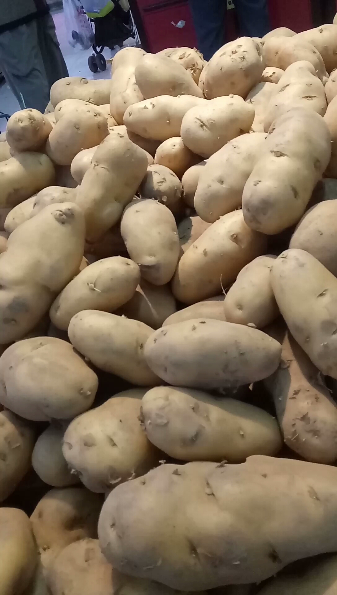超市的土豆便宜,全是发芽的,你们会买吗?