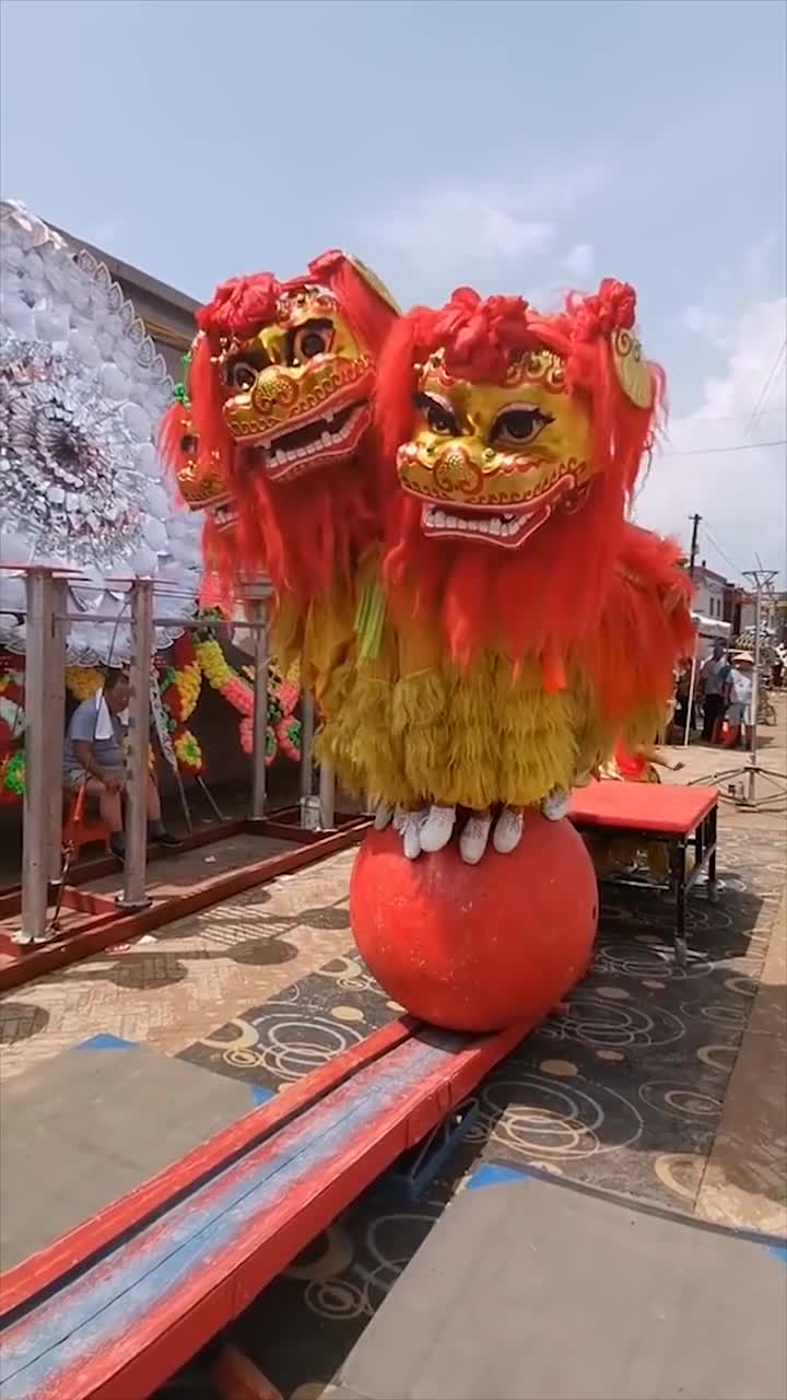第一次见三头舞狮走绣球,配合十分默契,真是台上一分钟台下十年功!