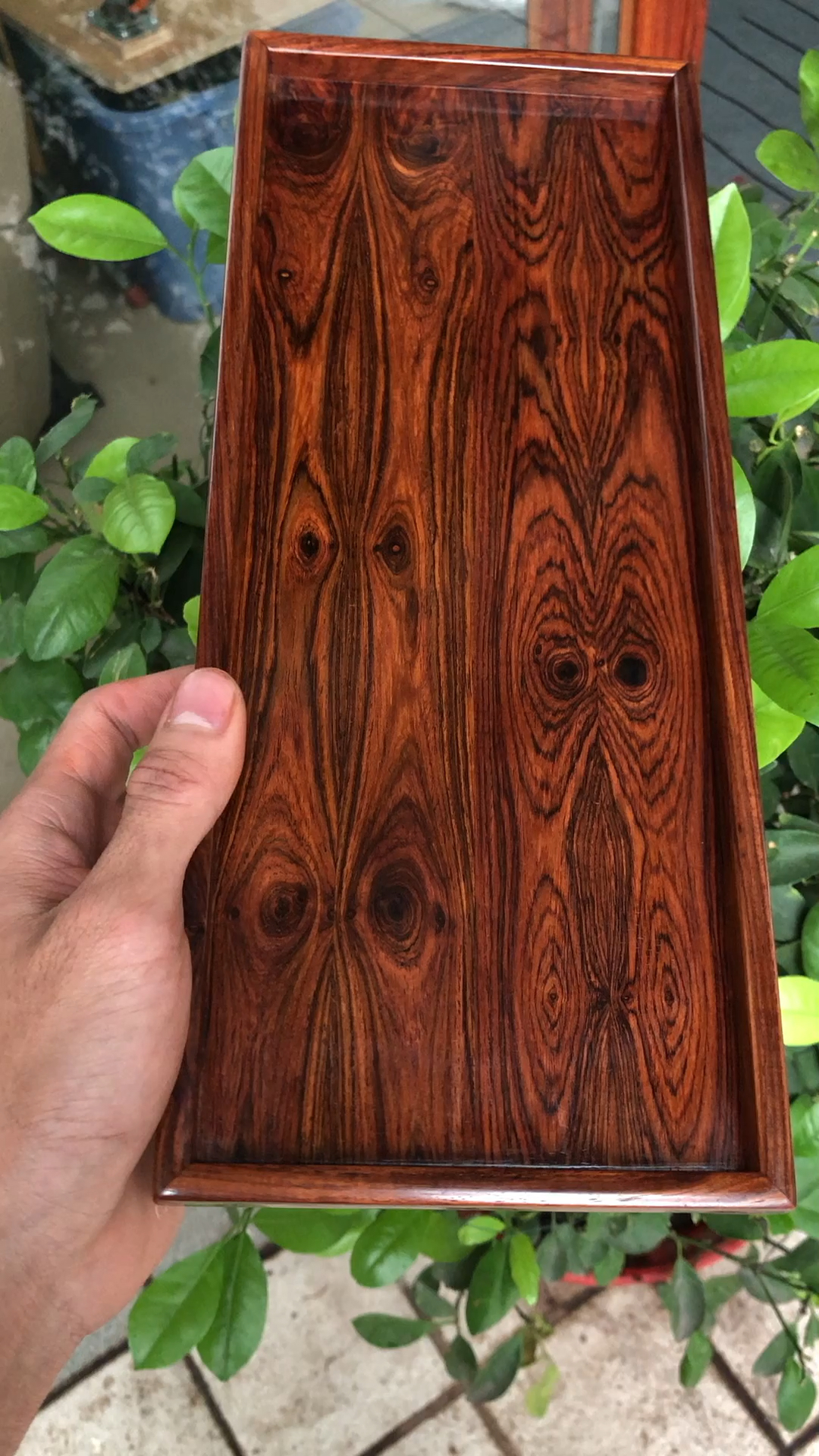 海南黄花梨 极品 鬼眼香盘