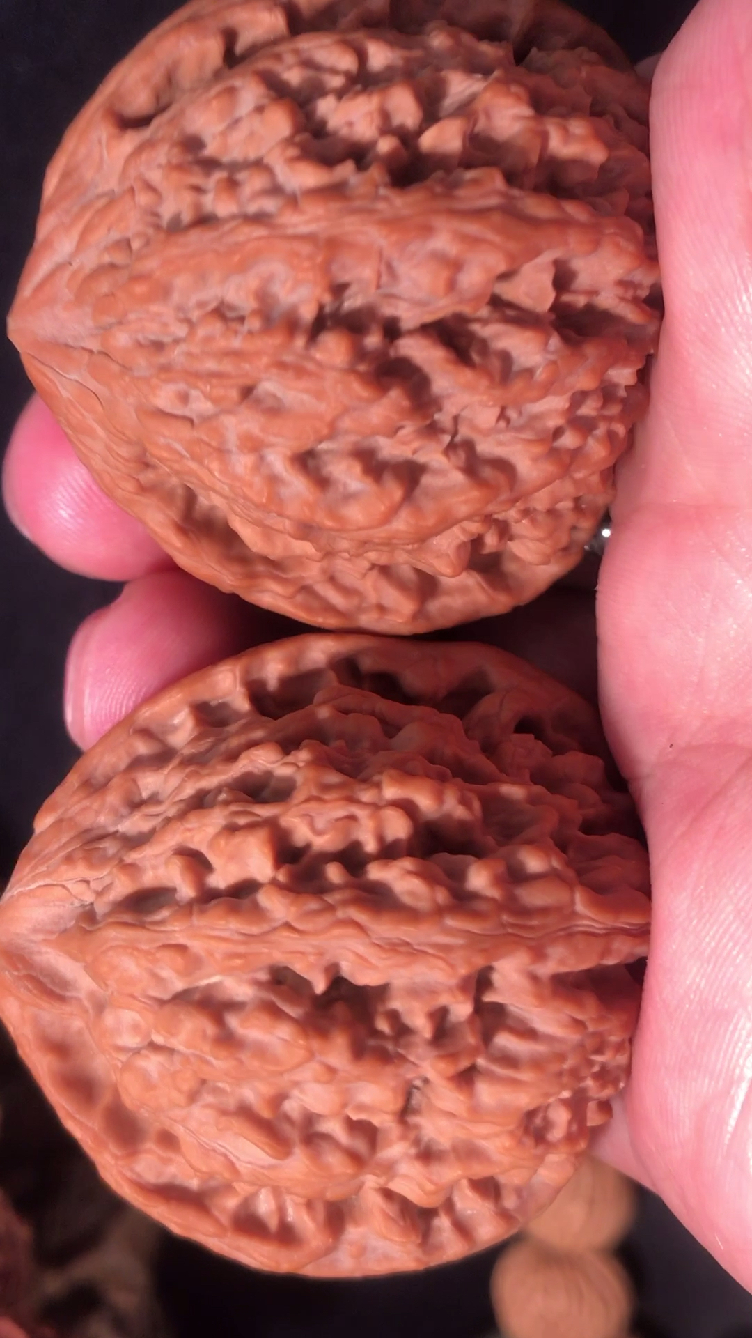 文玩核桃,稀有野生龙脊