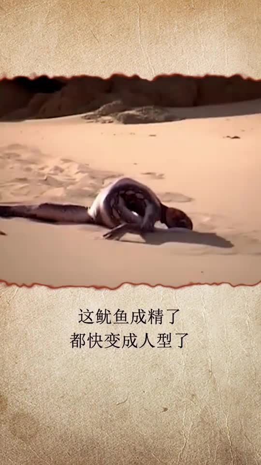 海边惊现变异鱿鱼,专家说吃了没病