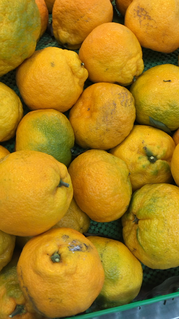 乡村生活#臭橘不贵了