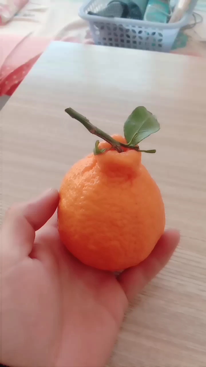 看看新品种地雷果