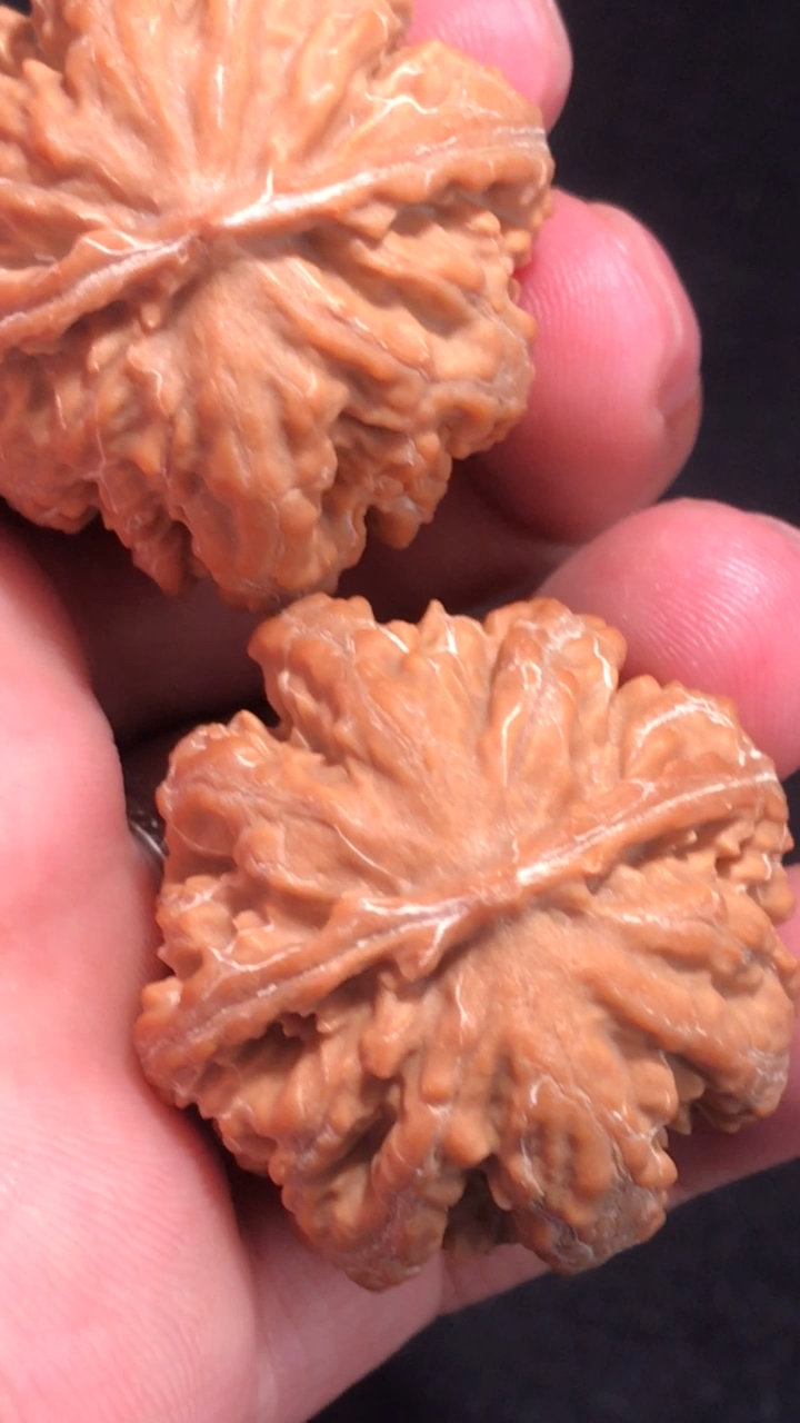 文玩核桃,野生八棱