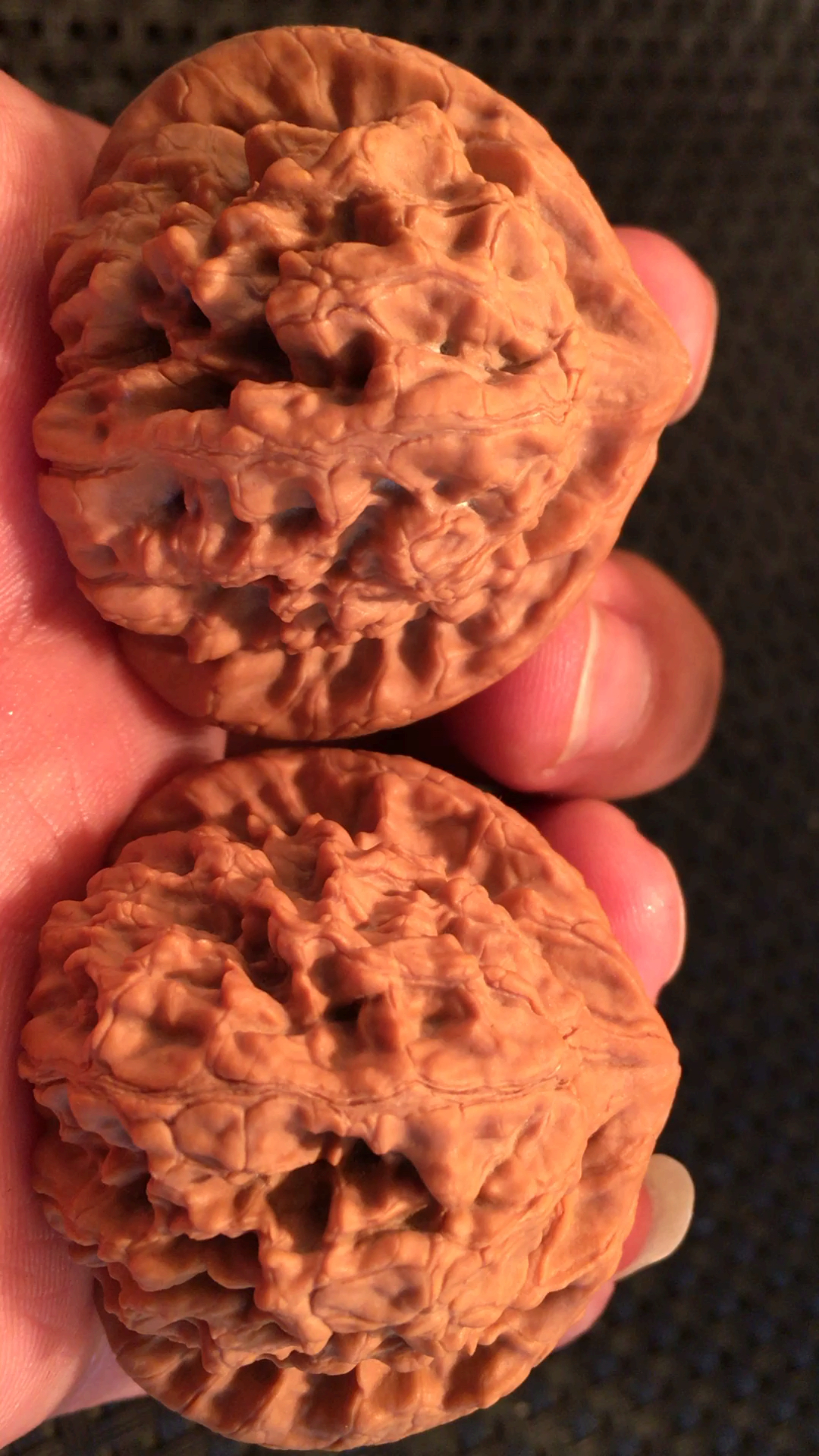 野生粗筋秤砣狮子头,现锁尺边42肚39高36,全品无修,骨质杠杠滴