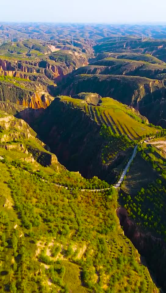 这就是陕北黄土高坡,多年植树造林,山坡上全部是树木,发给喜欢大西北