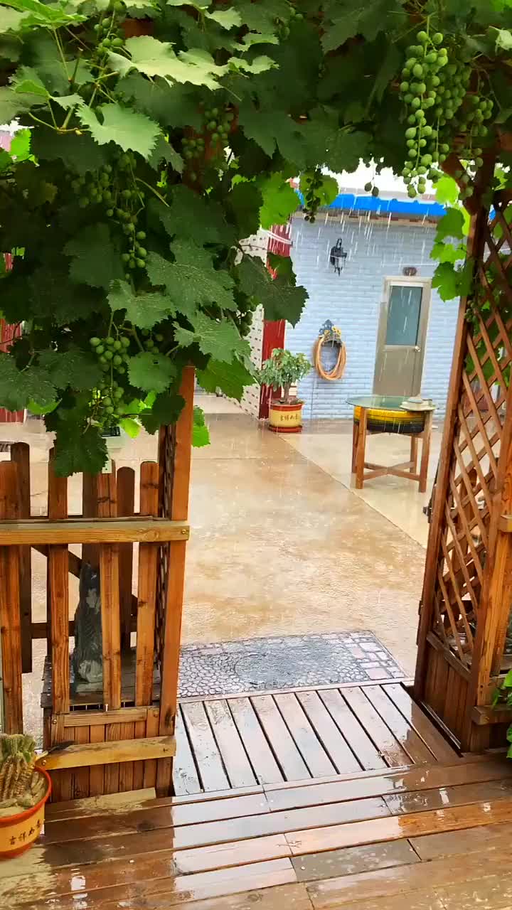 这才是真正的农家院,雨中拍到这一幕,着实羡慕了!