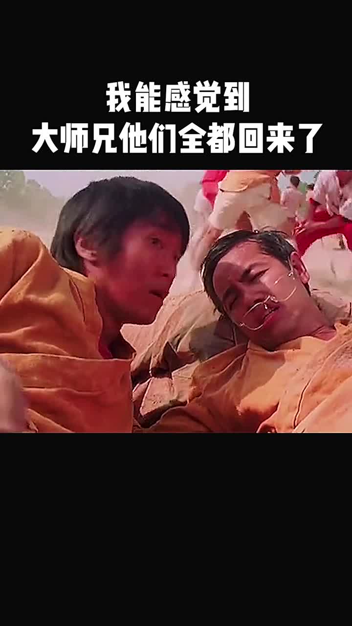 我能感觉到大师兄他们都回来了