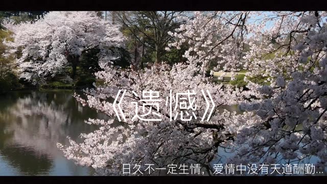 "再盛大的宴席终究也还是要散场的."n 满天星花语 摄影 sy摄影