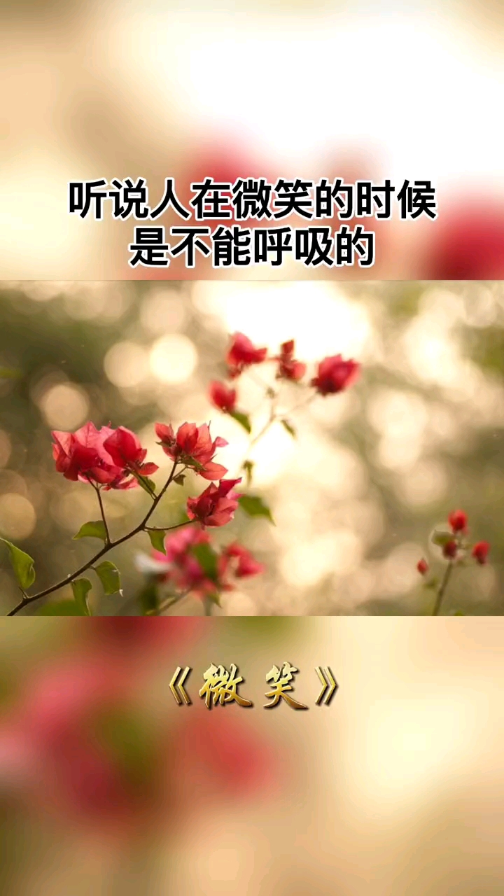 据说,人在微笑的时候,是不能呼吸的.#微笑面对人生##智慧人生