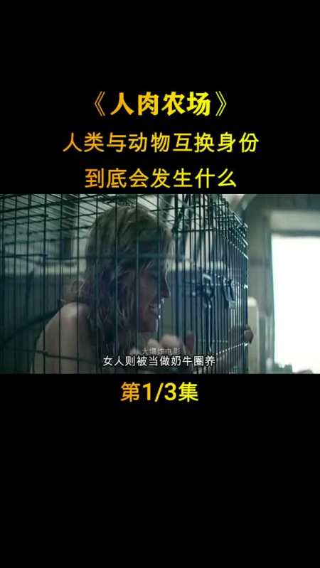 动物与人类互换身份,到底会发生什么