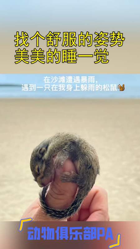 找个舒服的姿势美美的睡一觉