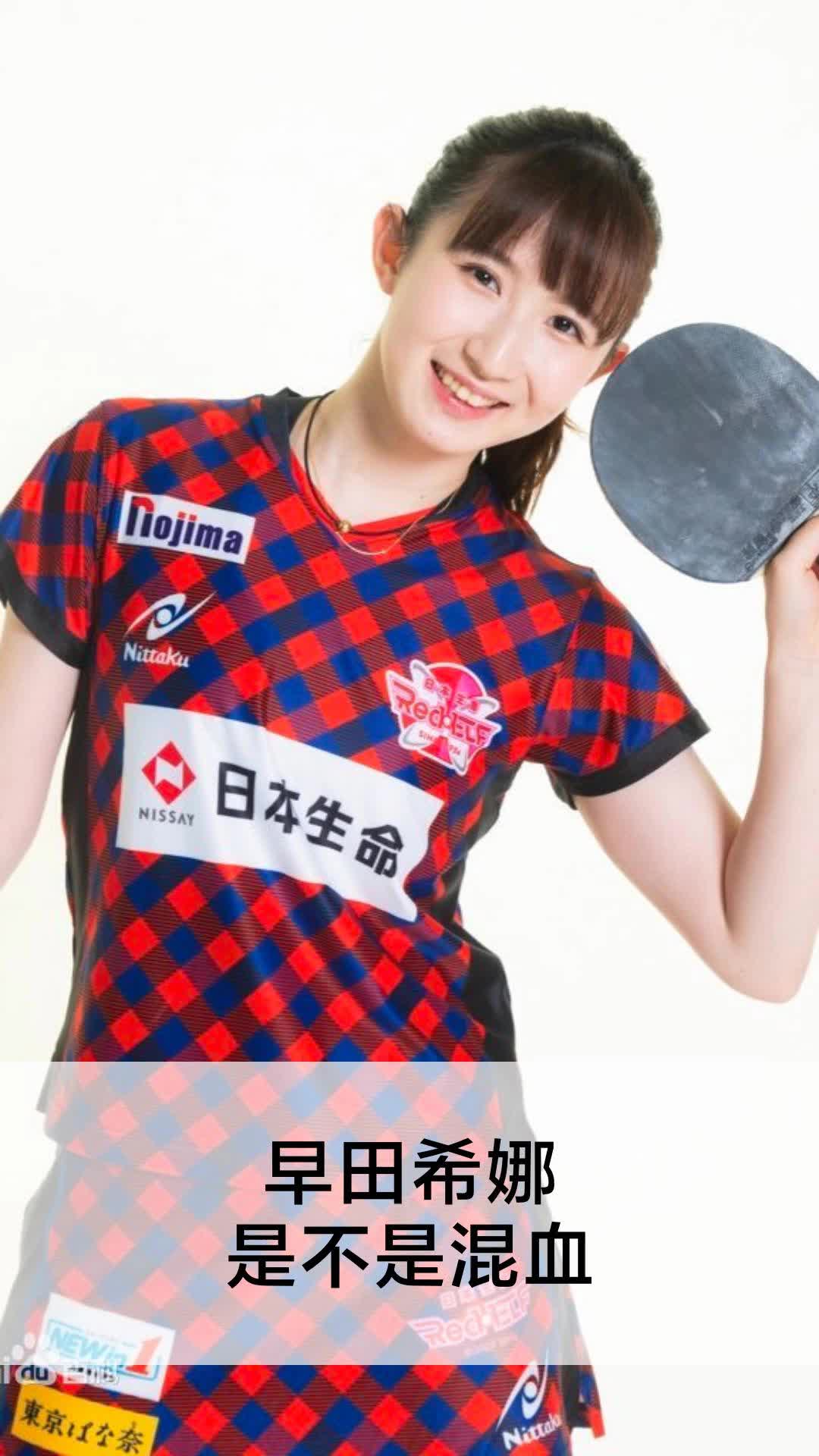 早田希娜是不是混血