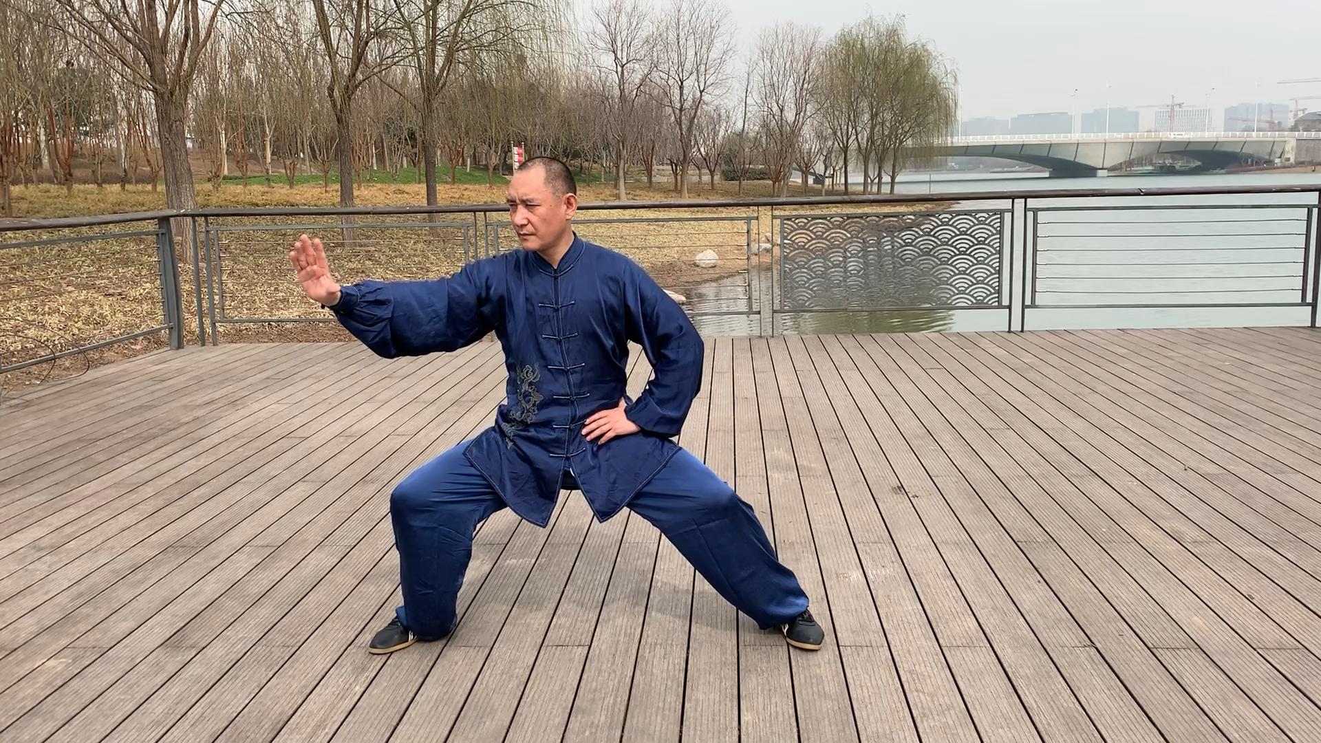 陈氏太极拳老架二路(2)