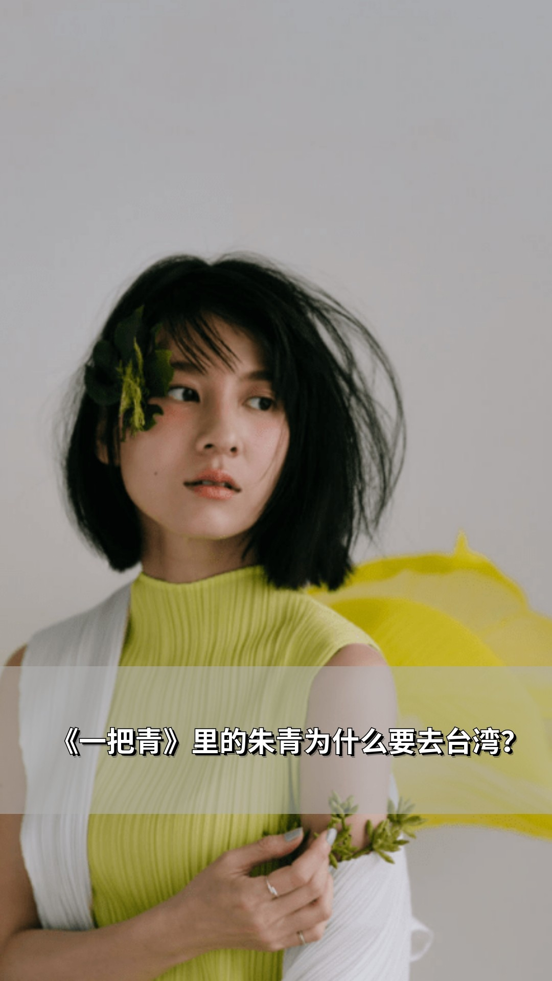 《一把青》里的朱青为什么要去台湾