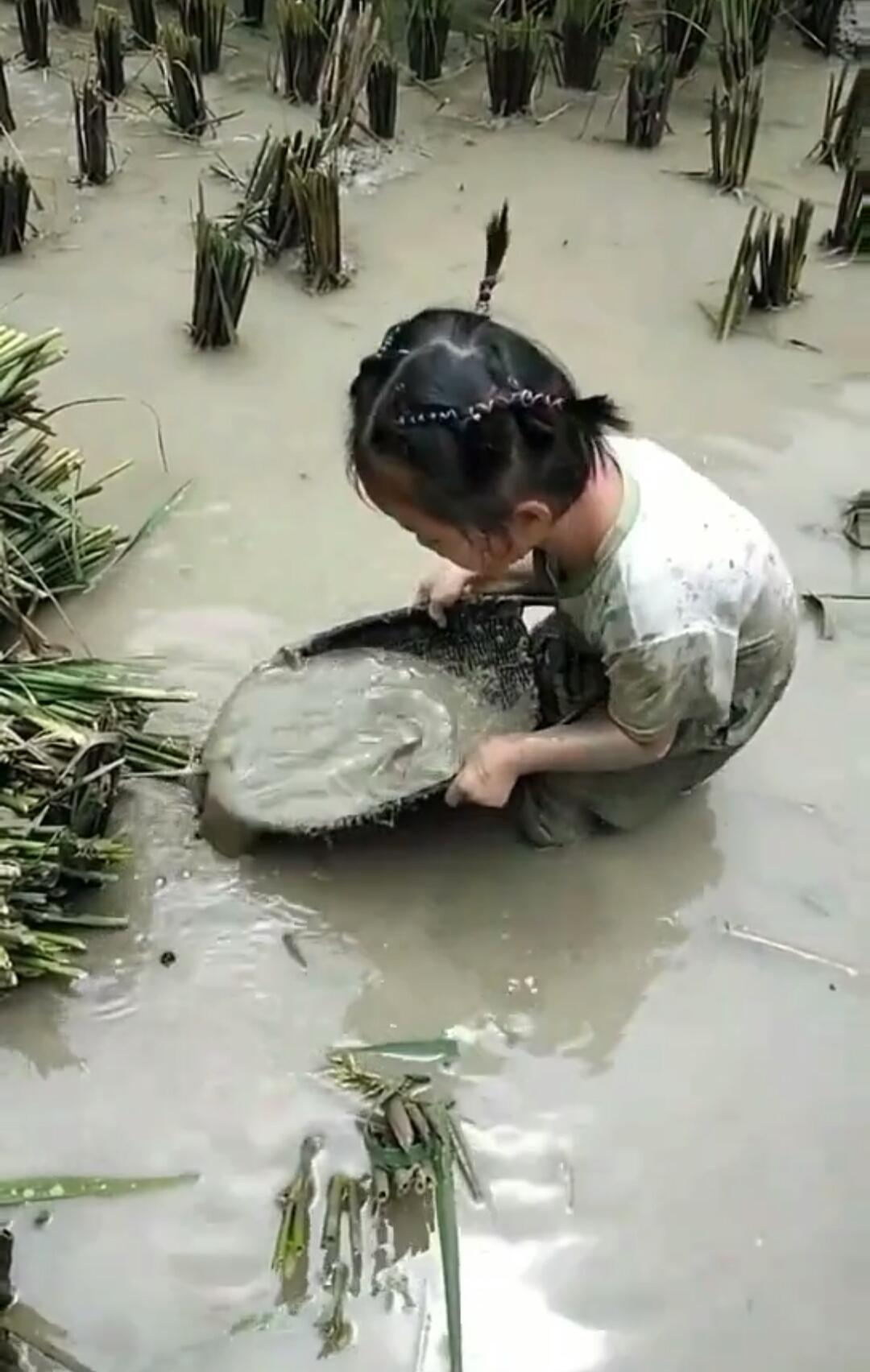 越南捉鱼的小女孩图片