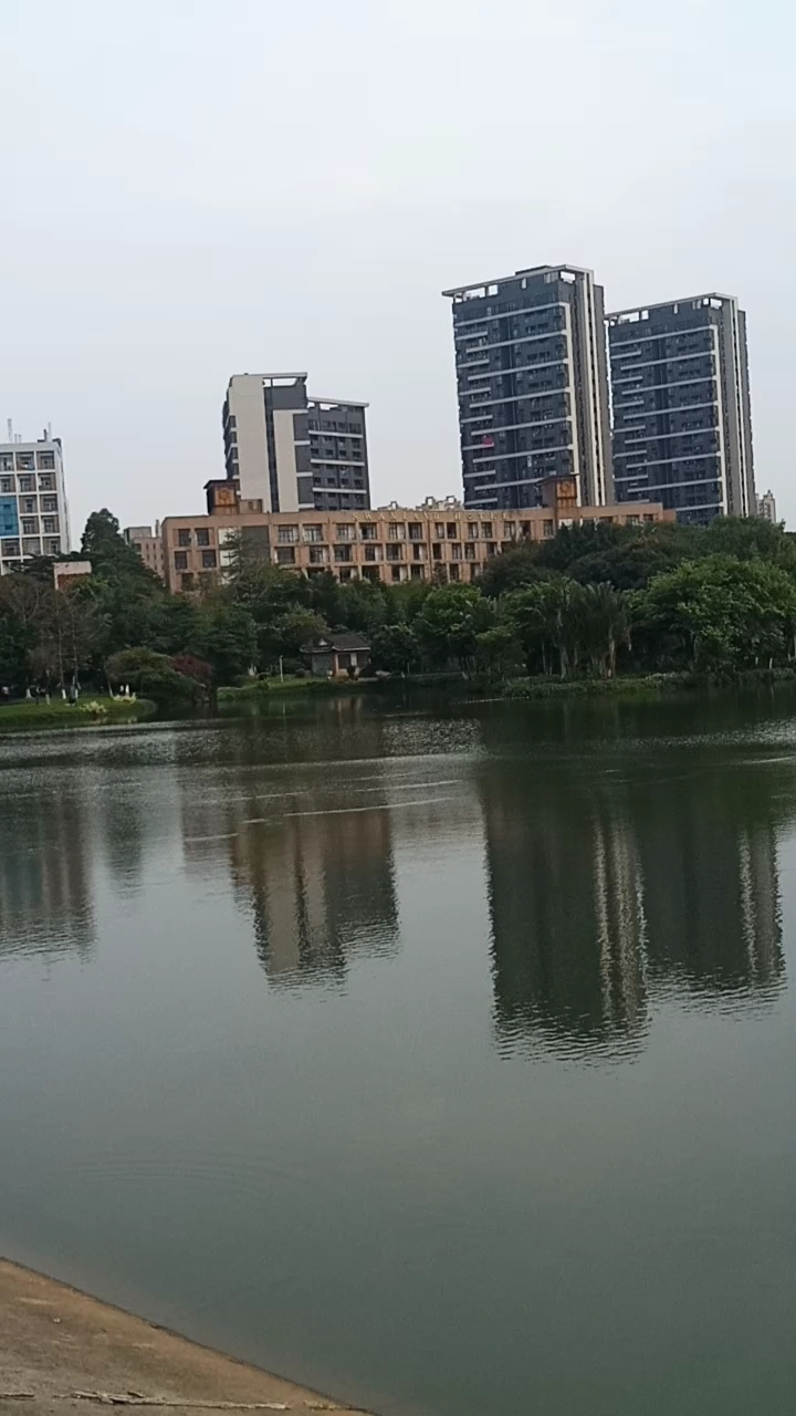 广东东莞市,寮步镇,松山湖,有来过没有?