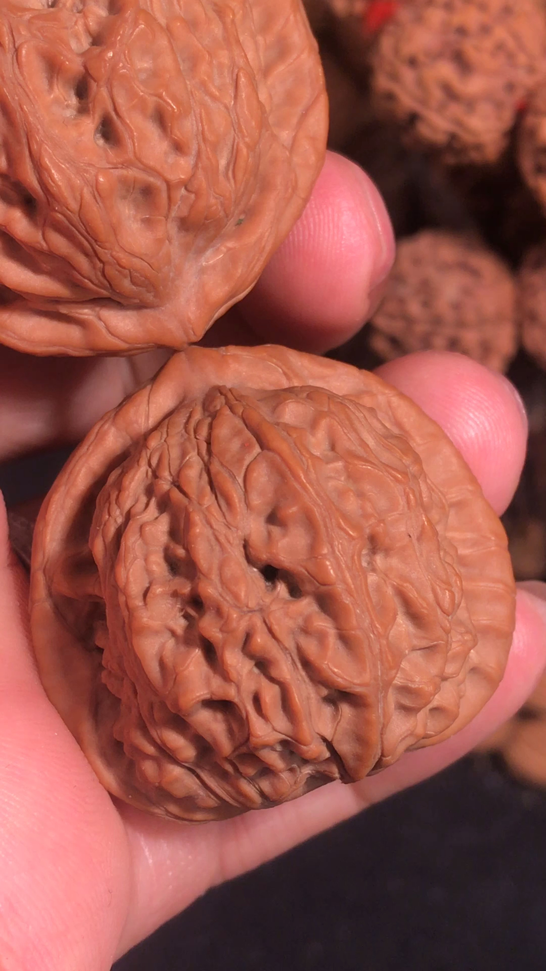 文玩核桃#乾隆元宝