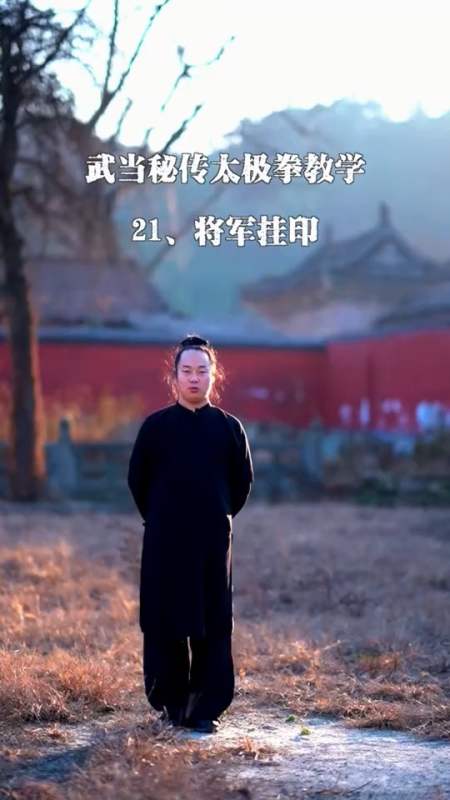 60秒学武当秘传太极21将军挂印动静生阴阳太极拳里无处不体现着中华