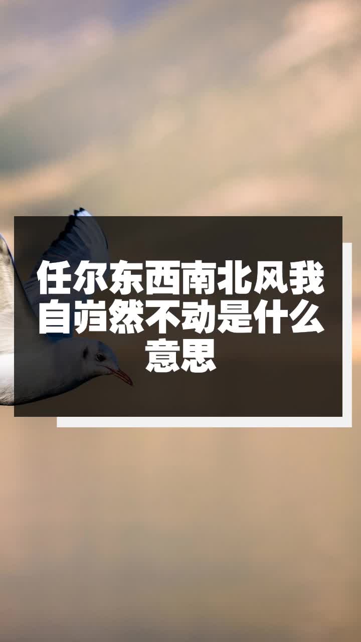 任爾東西南北風我自巋然不動是什麼意思