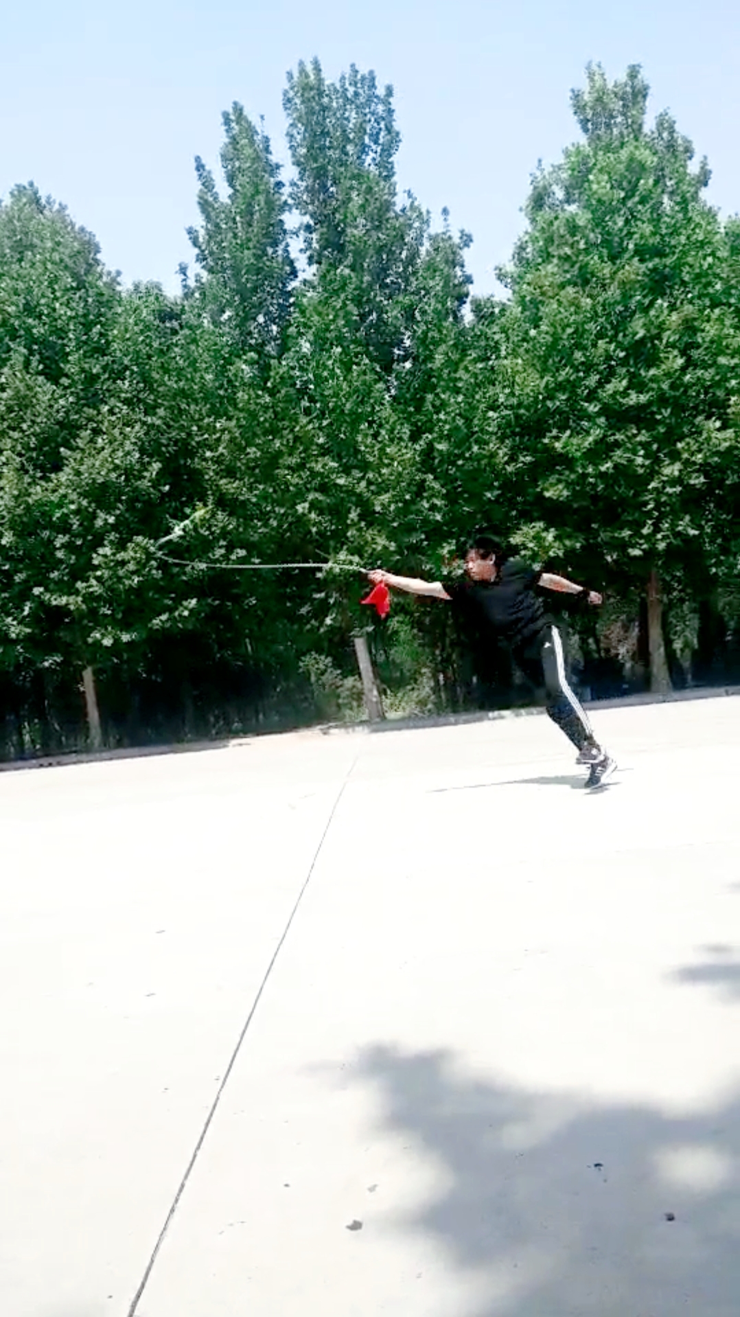 去清河麒麟鞭协会展示:新五步十鞭