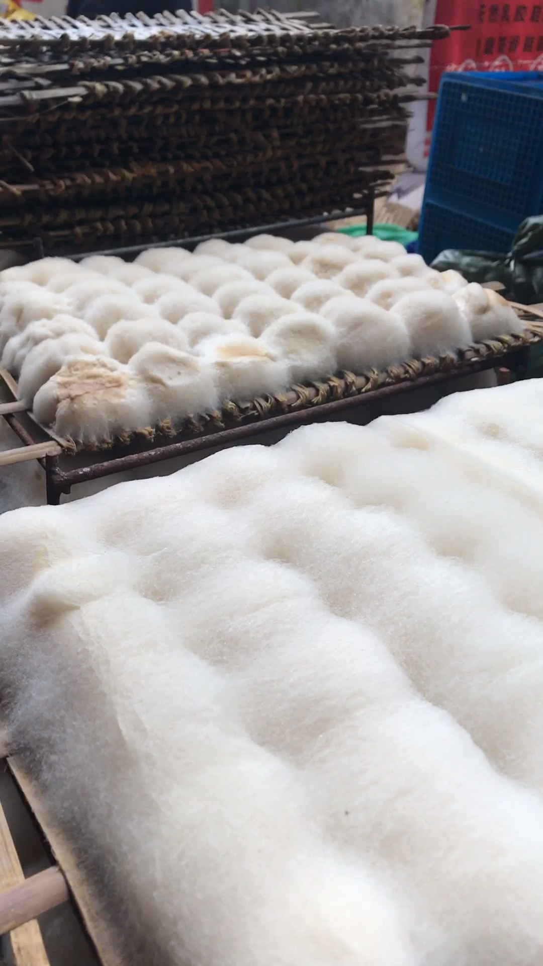 全民独门绝技咖#长毛的豆腐你敢吃吗?