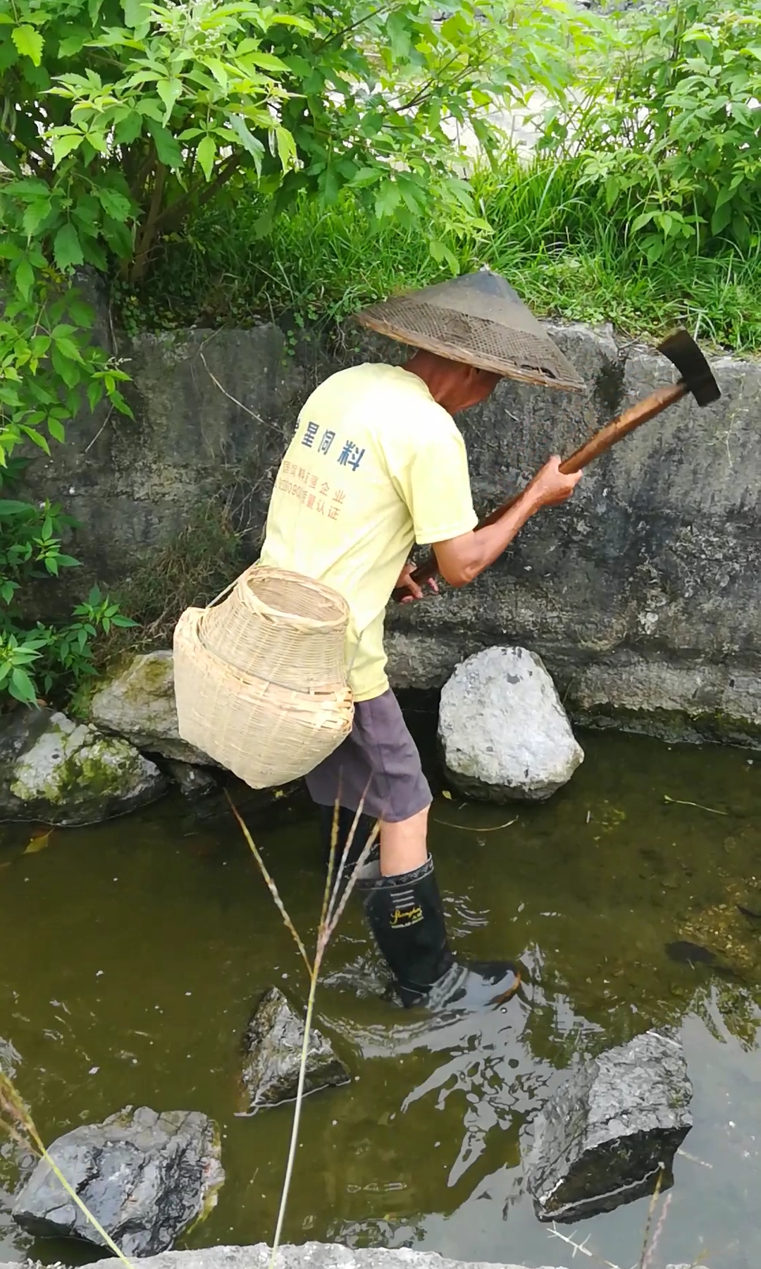 户外抓鱼#敲石震鱼,有这样抓过鱼的吗?