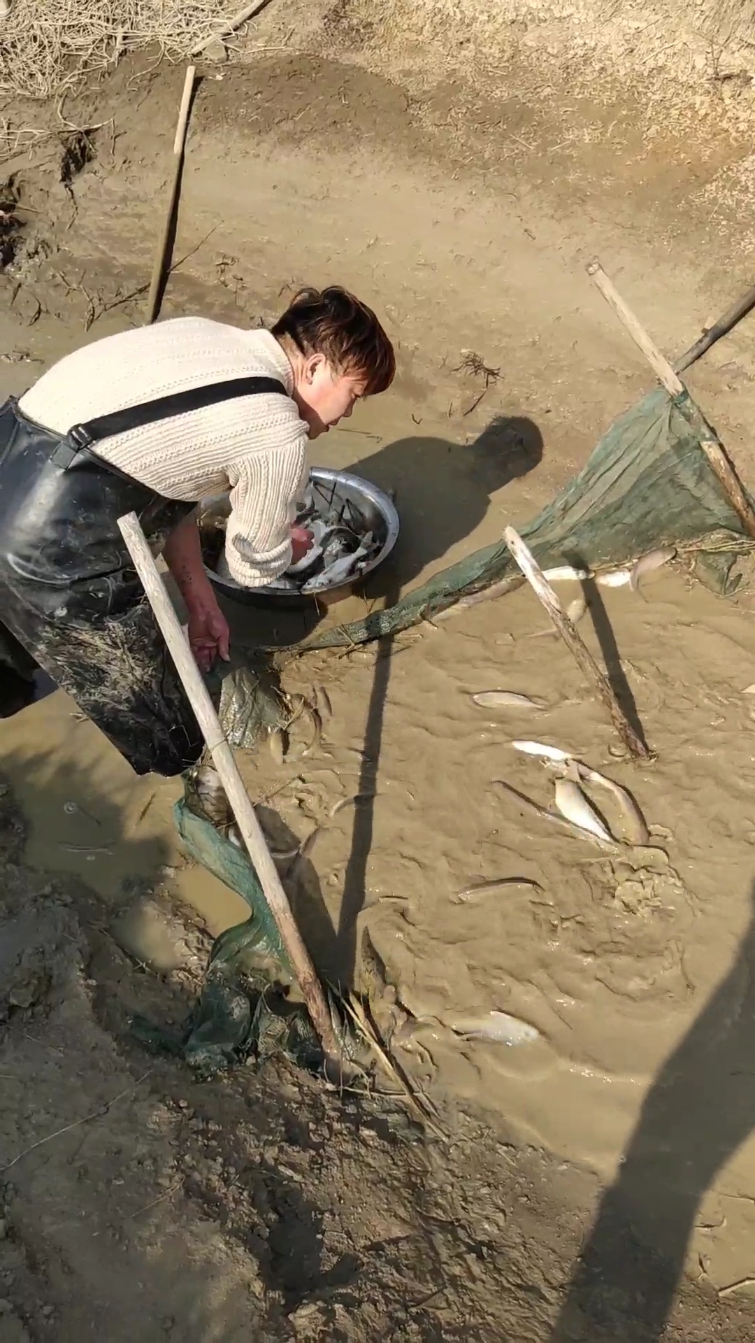 回家路上那些事#逮鱼了!逮鱼啦!