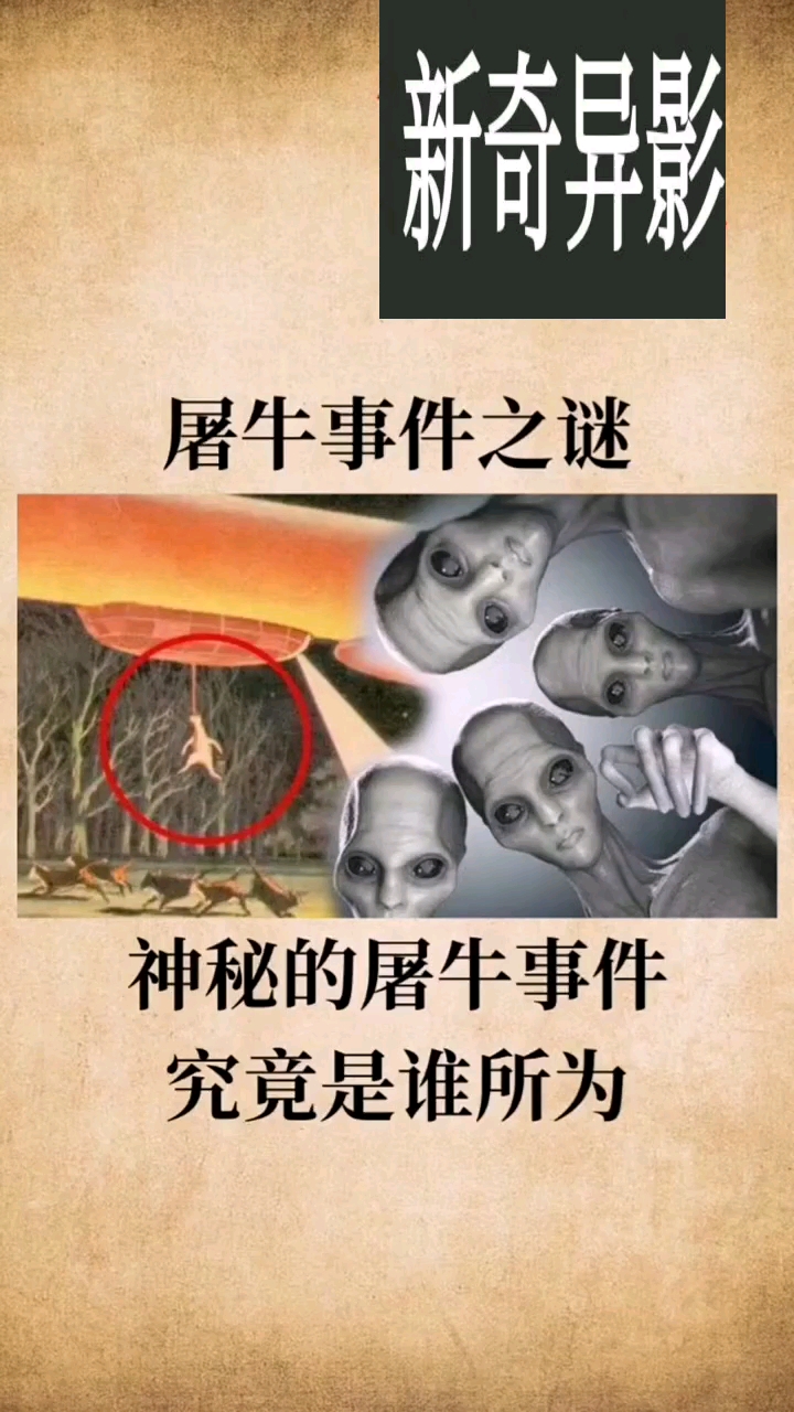 外星人屠牛事件真相图片