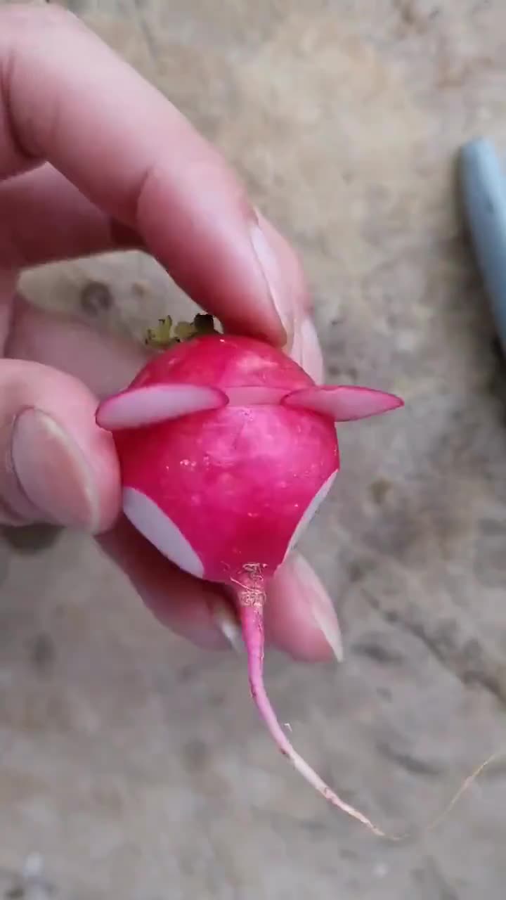 樱桃萝卜做的小老鼠?真好看,有多少人喜欢这种雕刻的?