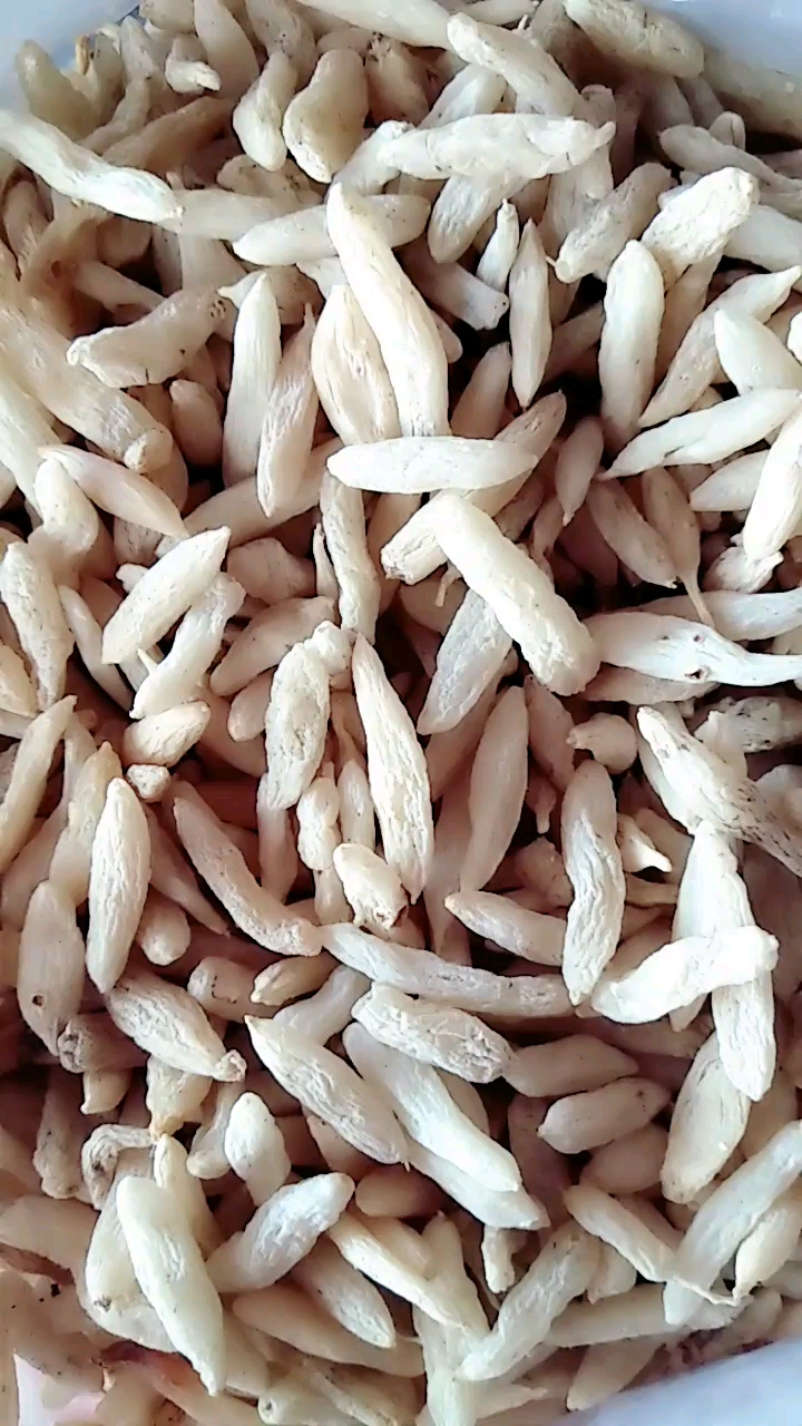 灯芯麦冬煲汤清心火