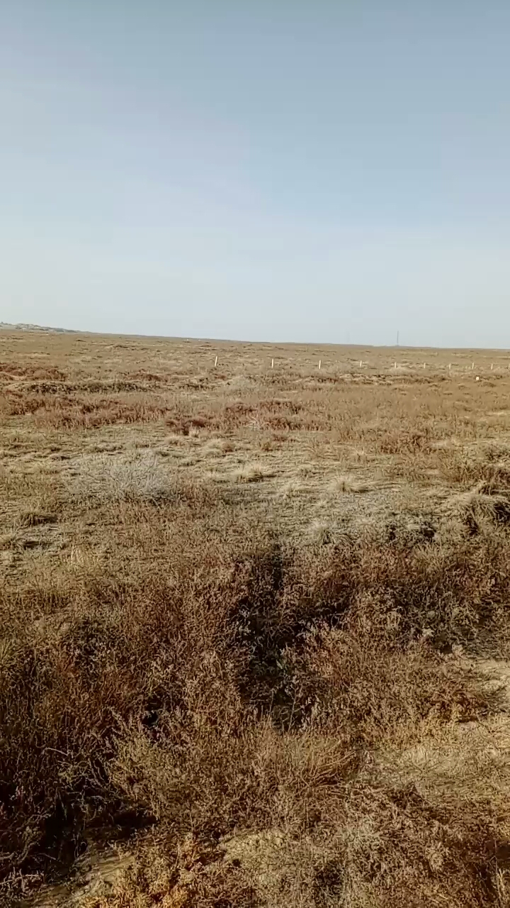 大西北虽荒凉,但没有疫情.