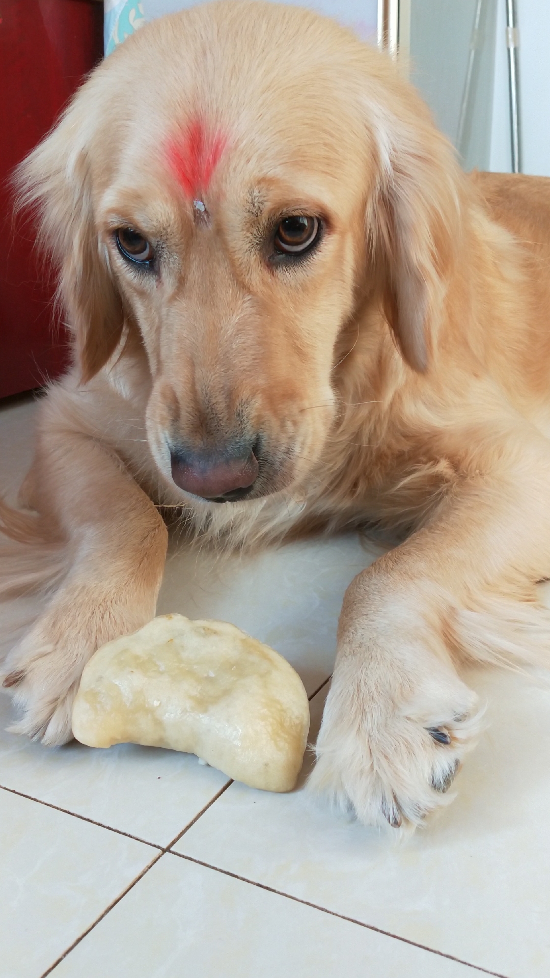 眼睛瞪的和包子一样大了哈哈