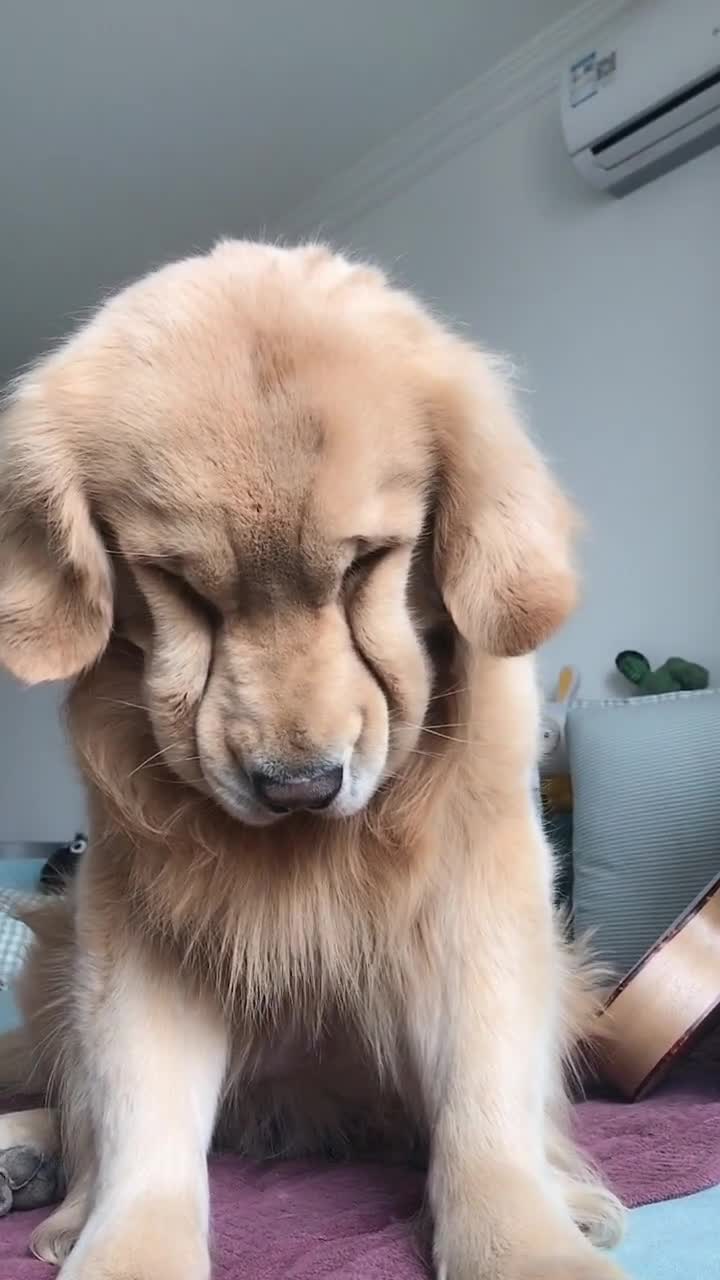 一说就拉拉脸,不能说