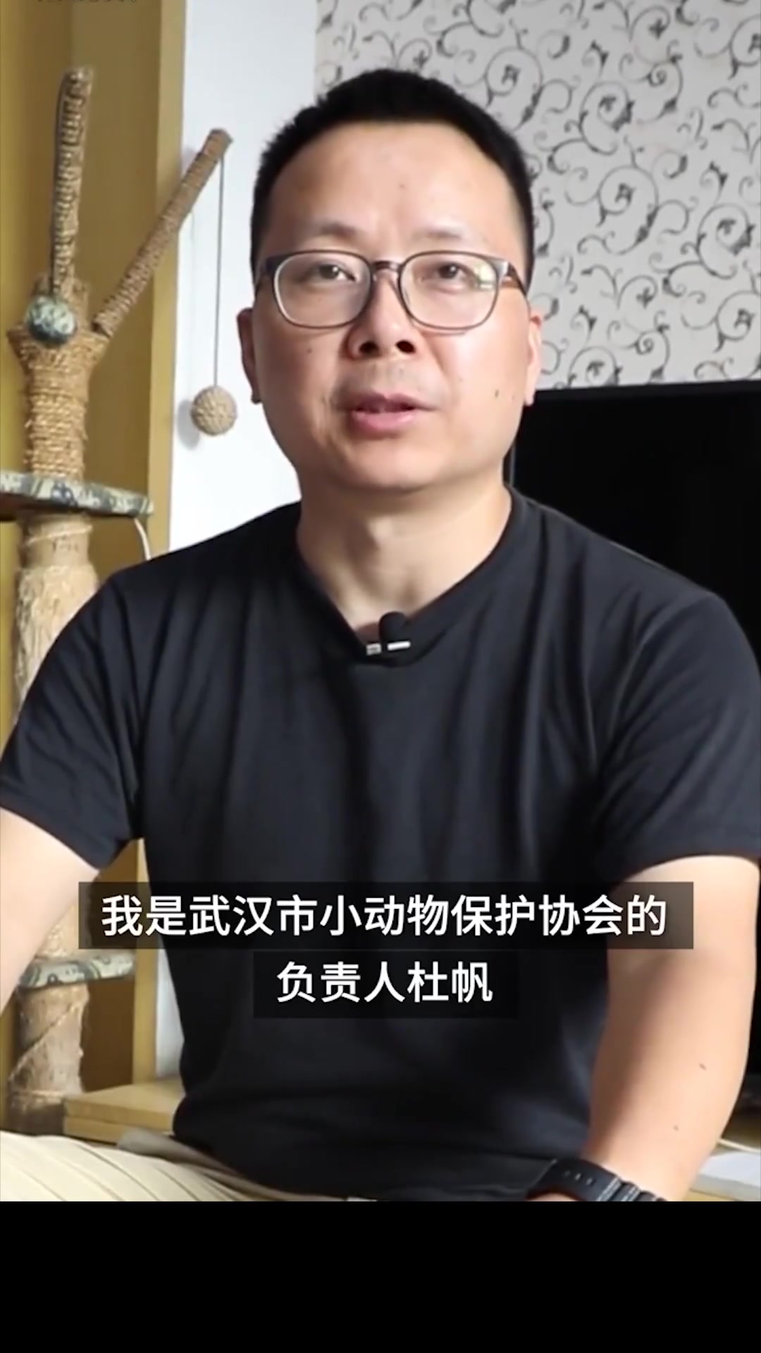 从爱好到责任动物救助者家中养15只流浪宠物