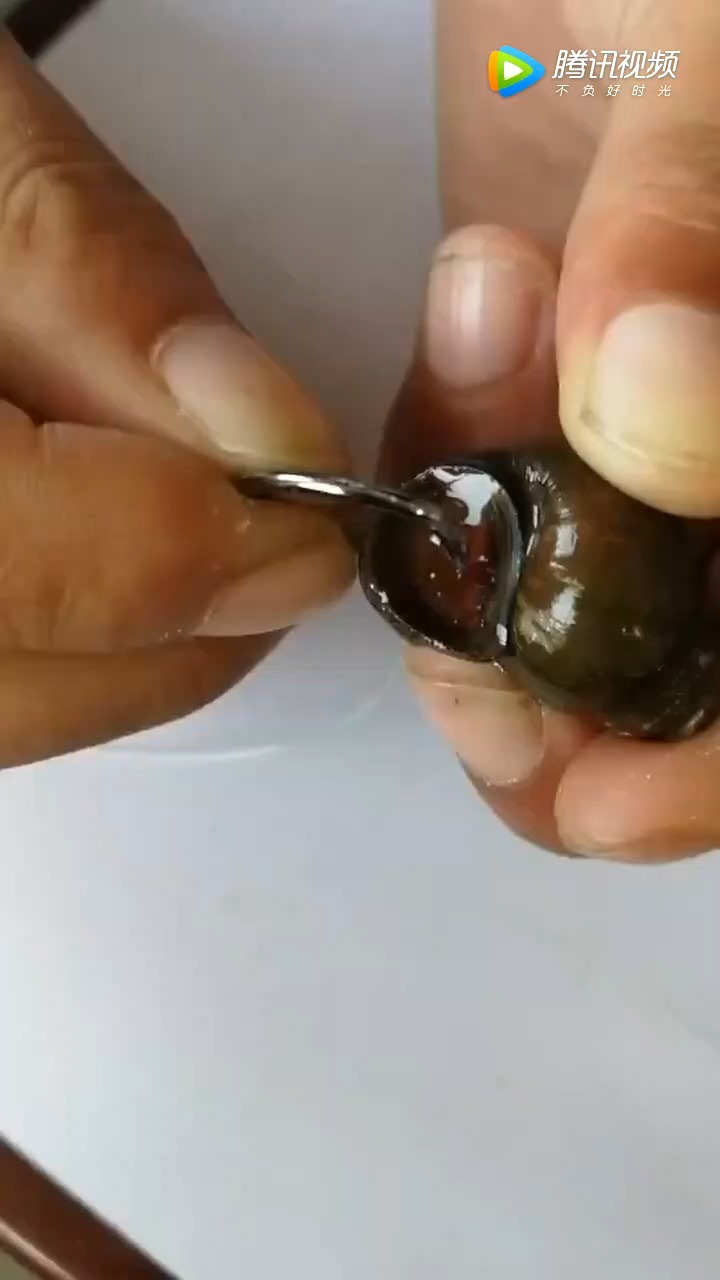 明星娱乐#钓鱼小知识,钓青鱼时如何挂螺蛳呢?