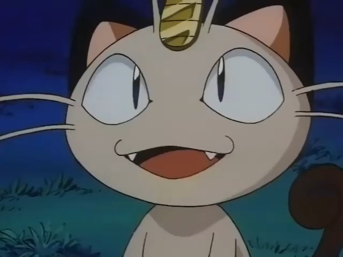 我要上热门#喵喵竟然被皮卡丘感动到了