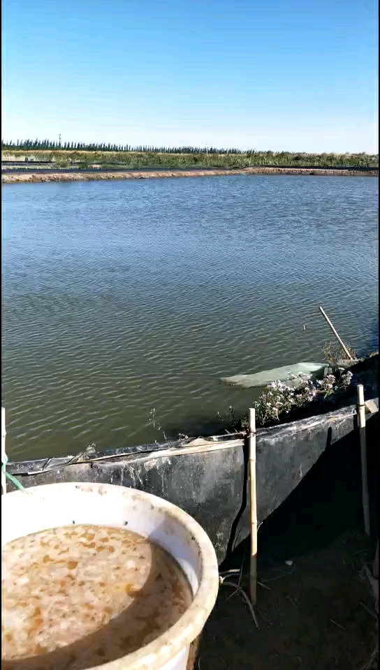 河蟹冬储池
