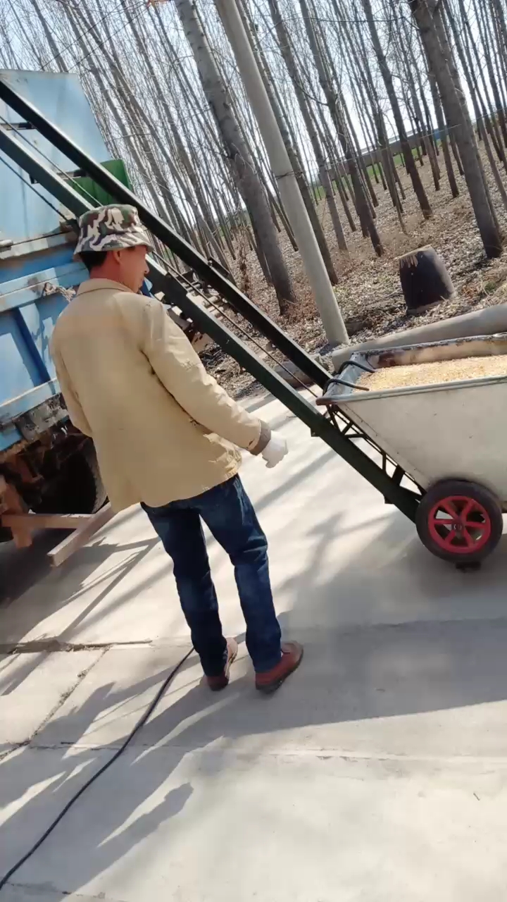 装车神器,现在收粮食的真省劲