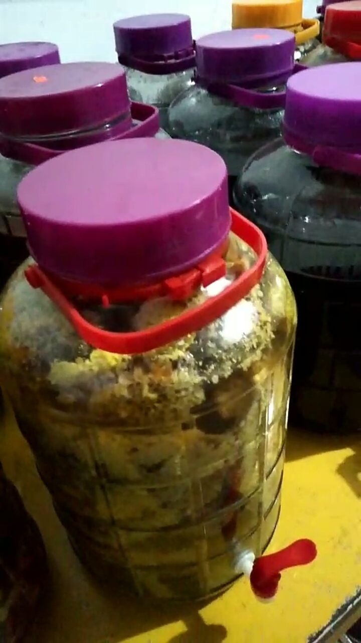 浸酒#三七二十一大全补酒.