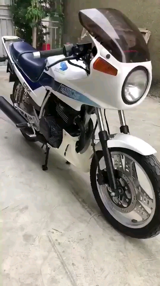 本田大飞机cbx250图片