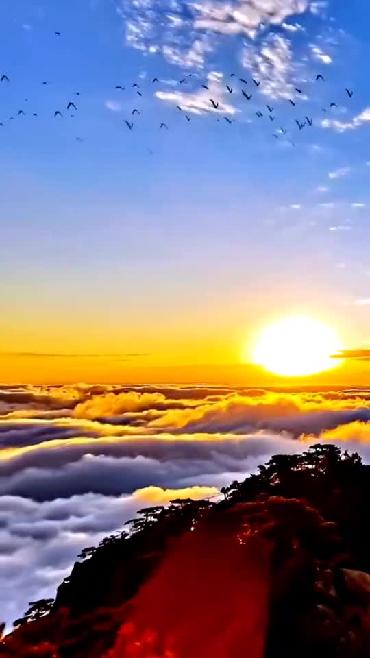 雾很厚很浓,似汹涌波涛,太阳终于甩开云彩的追逐,踏在了群山云海之上.