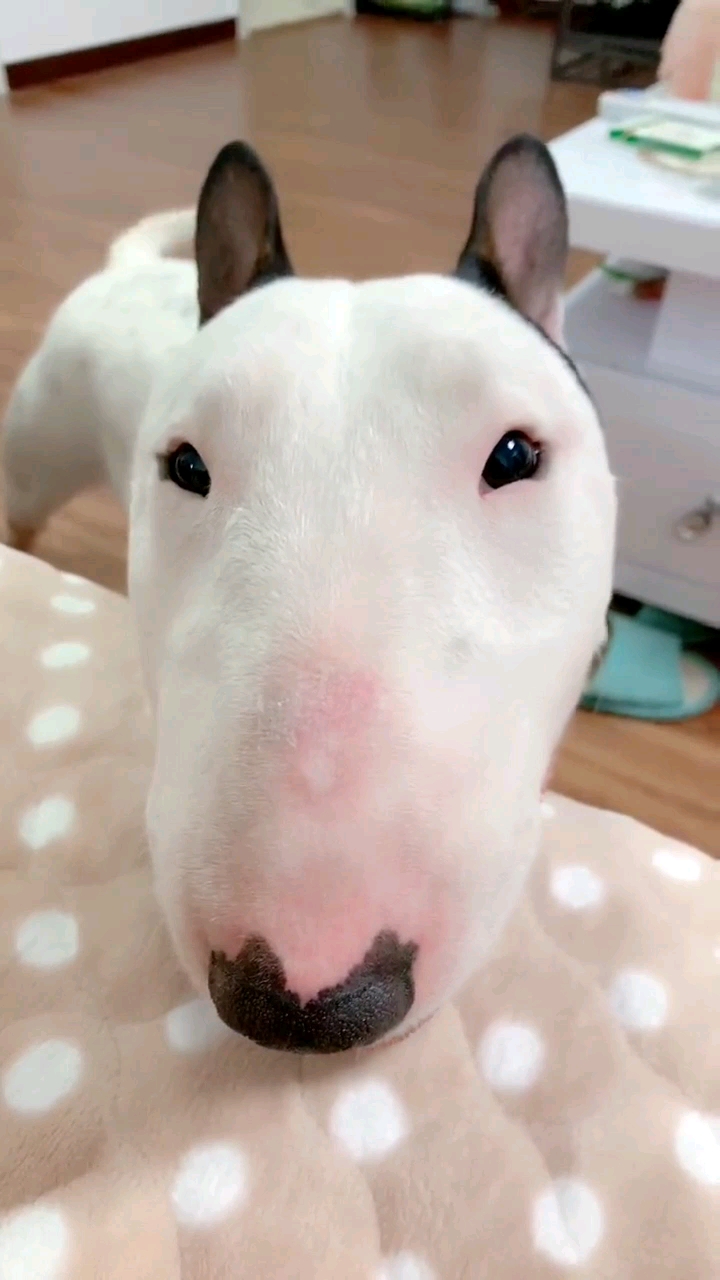 好嫩的孙红雷啊