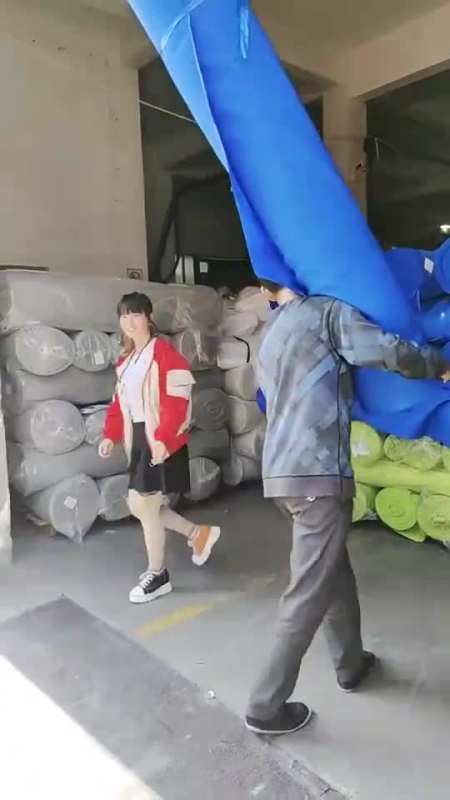 师傅说我只会拿本子又扛不动布,说扛一个十块钱,你们说这样我会不会扛