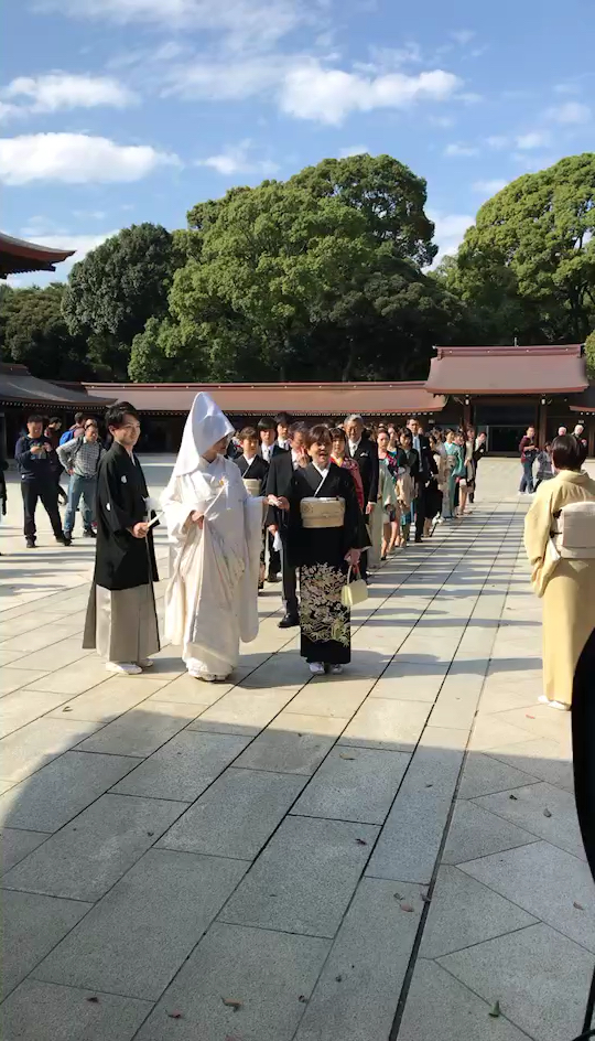 今日遇见四队新人在明治神宫举行婚礼的仪式.