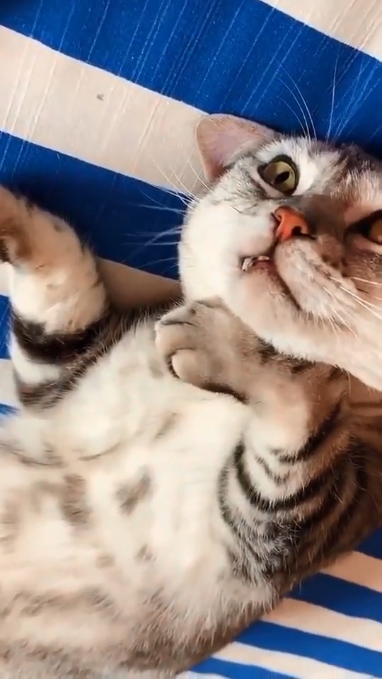 我以为你掐自己脖子挂了呢