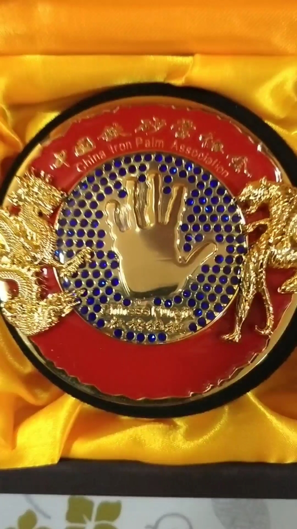 中国传统武术功力铁砂掌最高组织-中国铁砂掌协会.