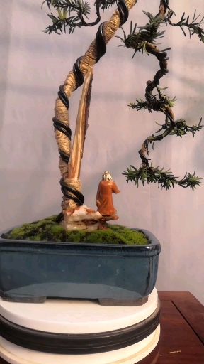 红豆杉文人