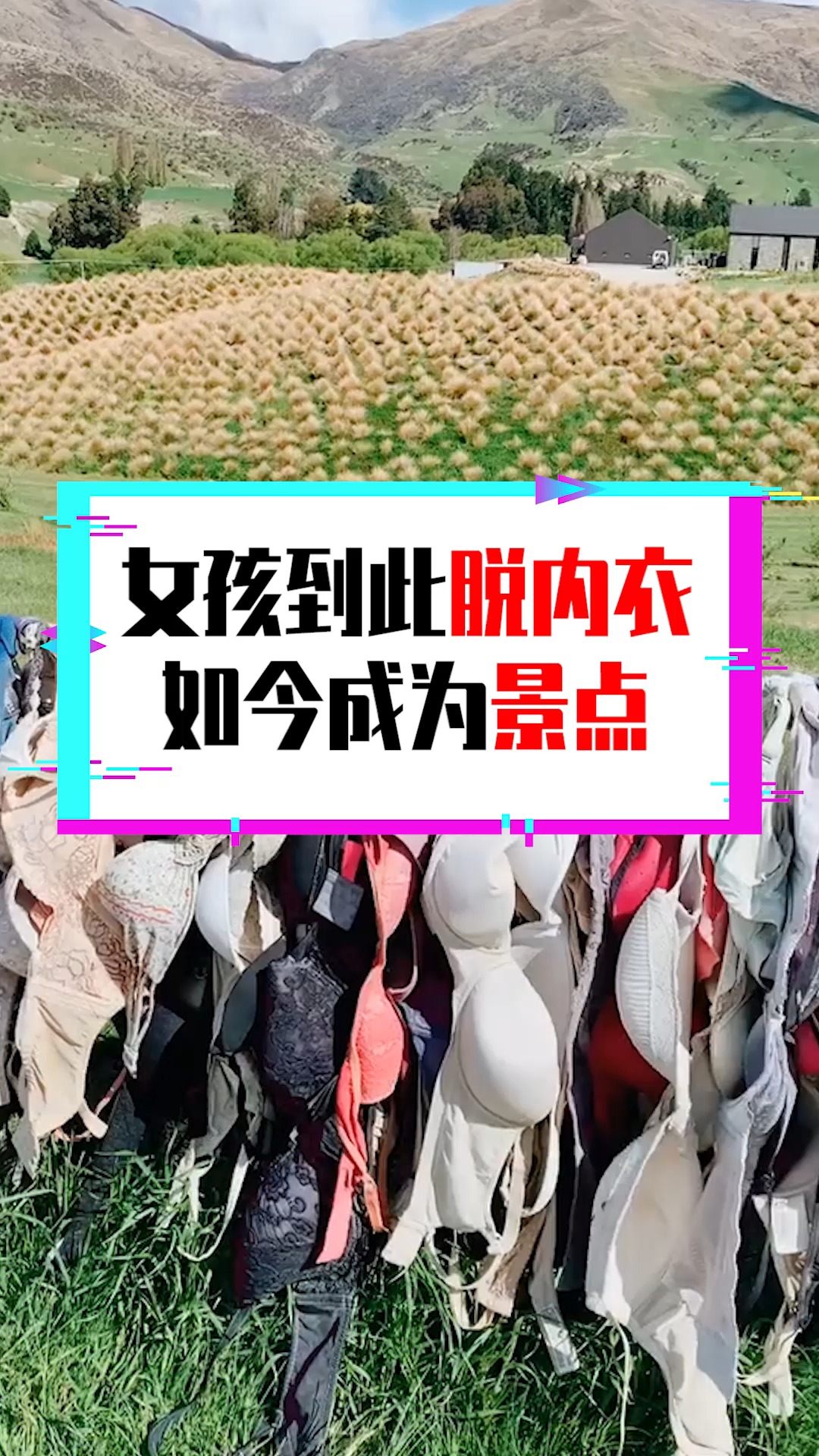 女人脱内衣连锁图片